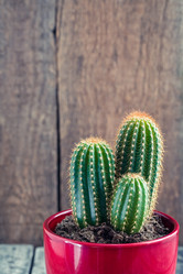 Similar image 19944986