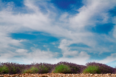 Similar image 20070188