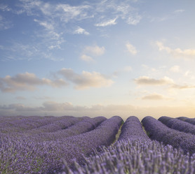 Similar image 20070194