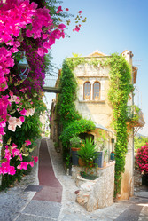 Similar image 20070196