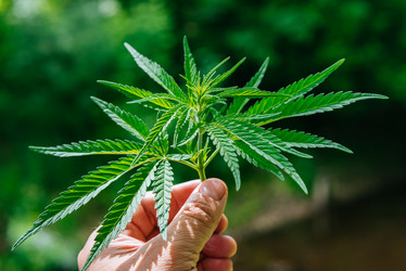 Similar image 20171851