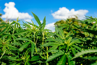 Similar image 20171879