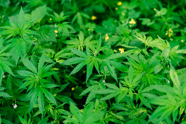 Similar image 20173719