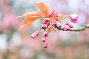 Similar image 20070213