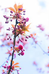 Similar image 20070214