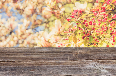 Similar image 20070217