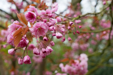 Similar image 20070218