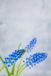 Similar image 19944647