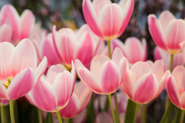 Similar image 19944650