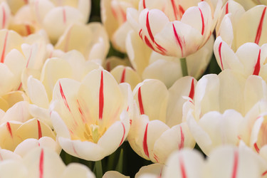 Similar image 19944651