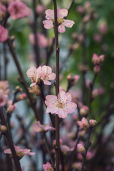 Similar image 19944664