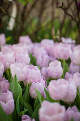 Similar image 19944665