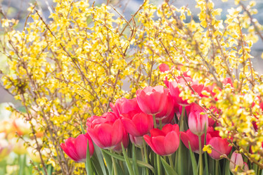 Similar image 19944682