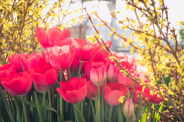 Similar image 19944685