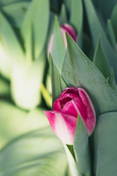 Similar image 19944686