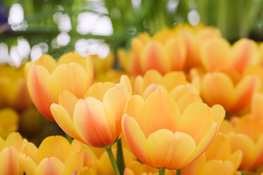 Similar image 19944687