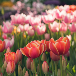 Similar image 19944688