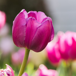 Similar image 19944689