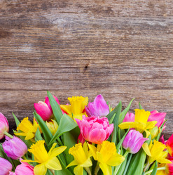 Similar image 20070231