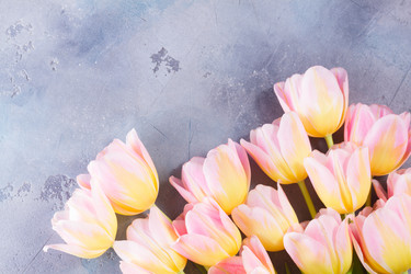 Similar image 20070240