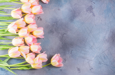 Similar image 20070241