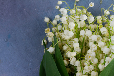 Similar image 20070243