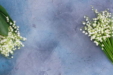 Similar image 20070244