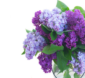 Similar image 20070246