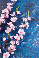 Similar image 20070250