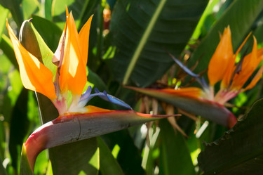 Similar image 20070255