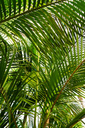 Similar image 20070257