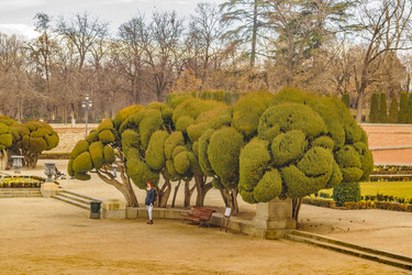 Similar image 20058219