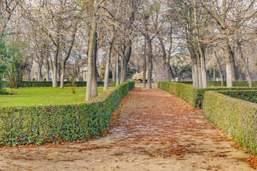 Similar image 20058249