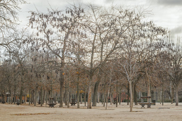 Similar image 20149803