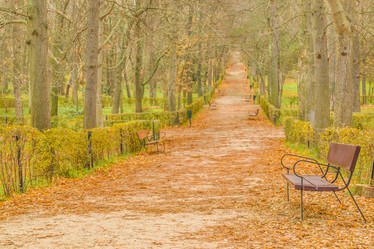 Similar image 20150741