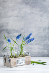 Similar image 19944780