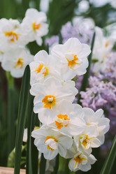 Similar image 19944788