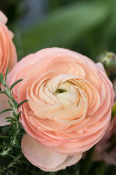 Similar image 19944797