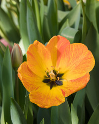 Similar image 19944799