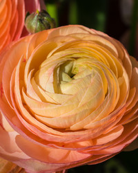 Similar image 19944801