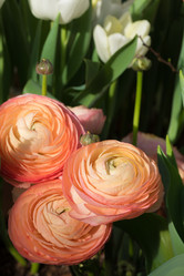 Similar image 19944805