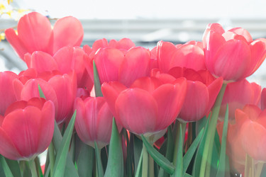 Similar image 19944826