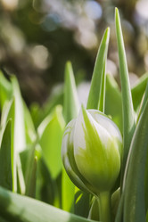 Similar image 19944828