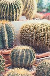 Similar image 19944847