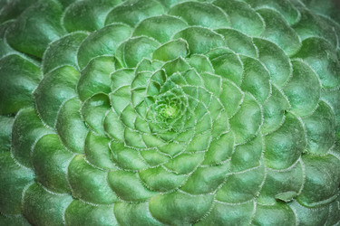 Similar image 19944850