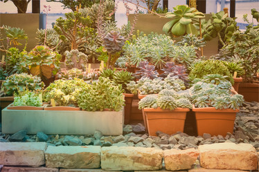 Similar image 19944851