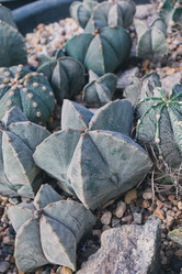 Similar image 19944866