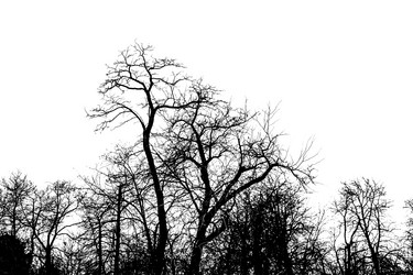 Similar image 20154550