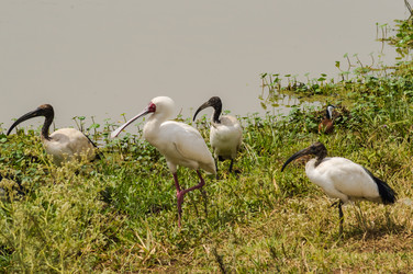 Similar image 20120793