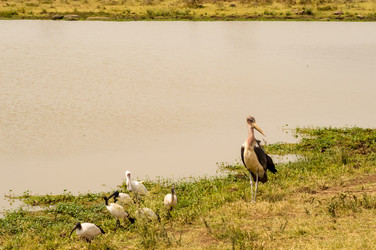 Similar image 20120799